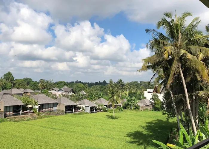 Mira Family Cottages